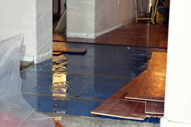 Professional Flood Cleanup technician working in Anacortes, WA